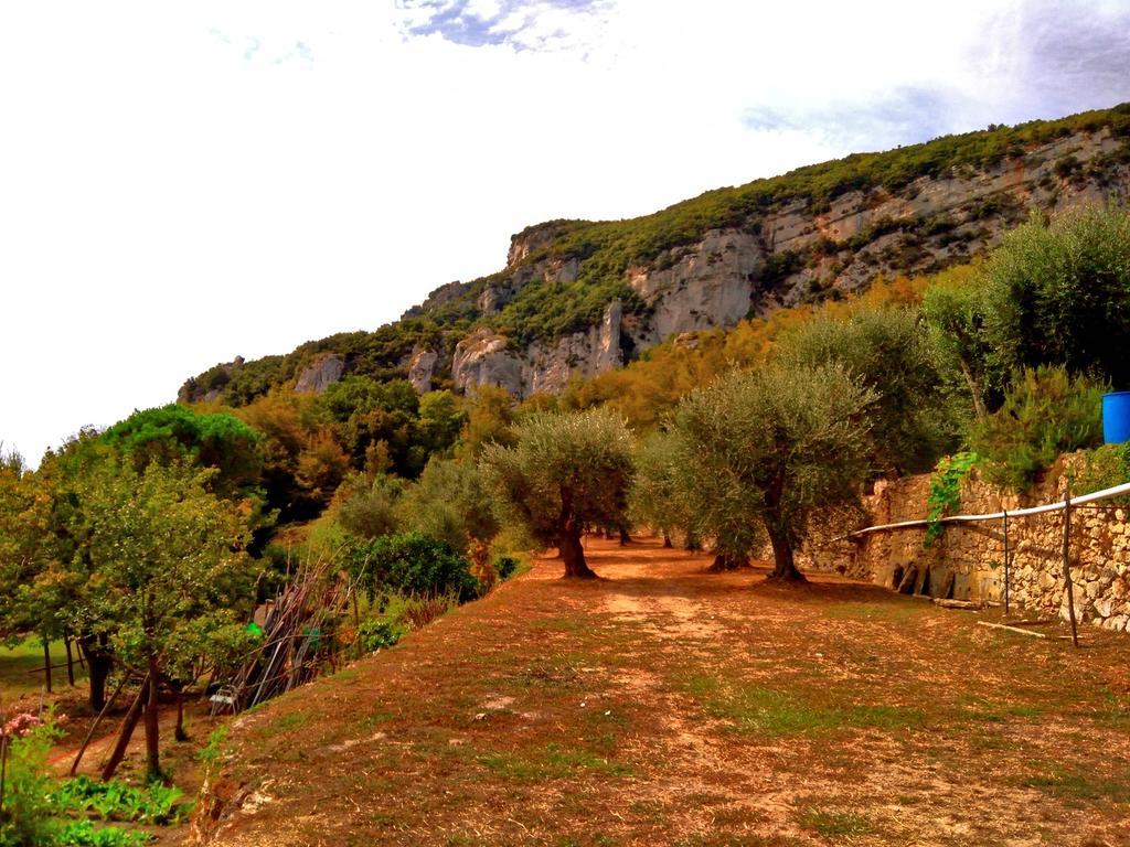 Agriturismo Ca' Magli Villa Orco Feglino Eksteriør bilde